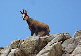 In der Hohen Tatra pilgern